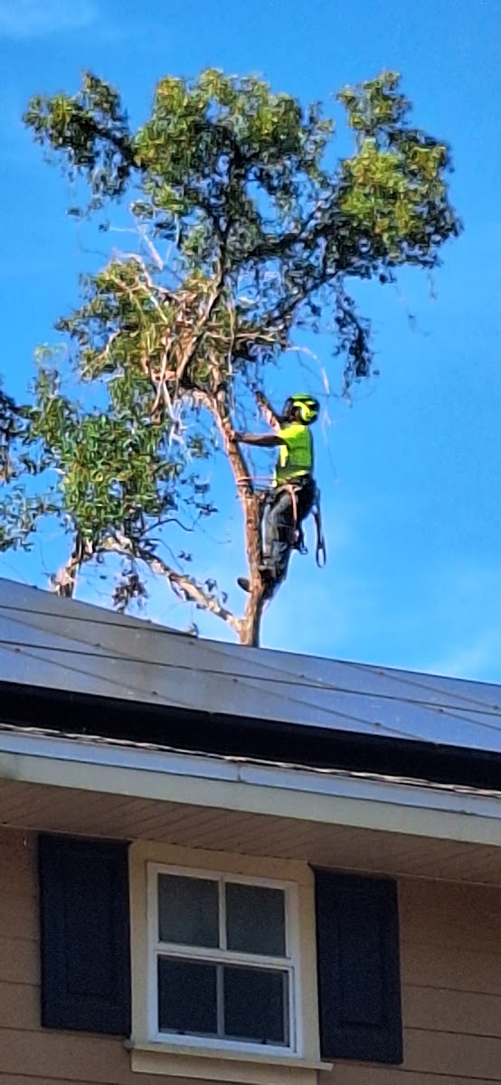 Neon hard hat near residential home